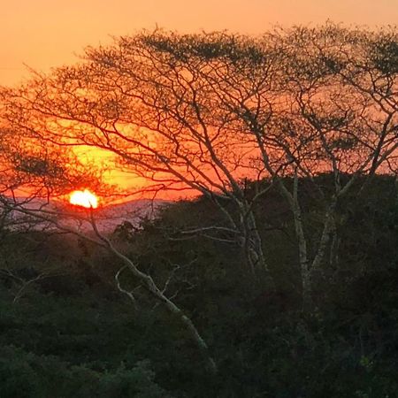 Msunduze River Lodge 음쿠제 외부 사진