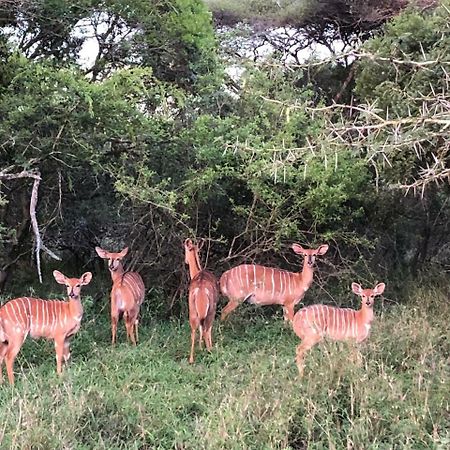 Msunduze River Lodge 음쿠제 외부 사진